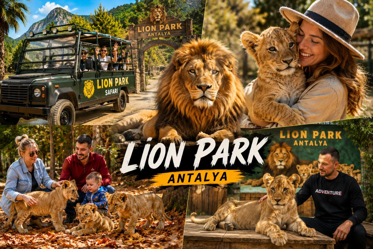 Lion Park & Jeep Safari Tour from Belek