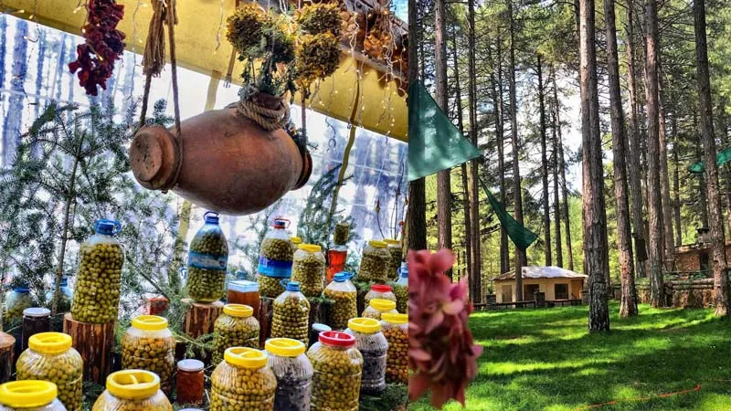 Turkish Breakfast & Village Tour - Image 3